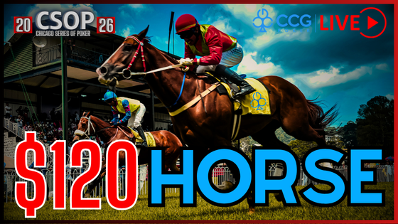 CSOP HORSE (5)
